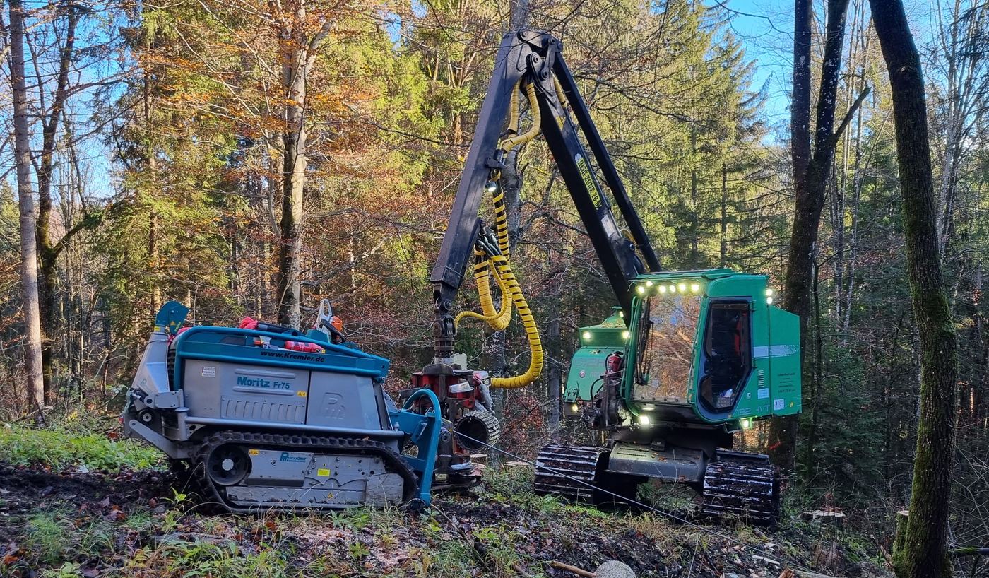 Harvester und Forstraupe „Moritz“ im gemeinsamen Einsatz