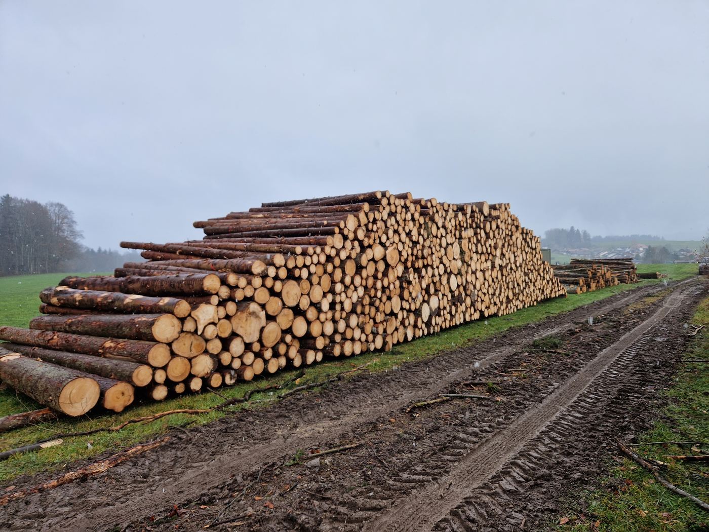 Holzpolter nach Holzernte